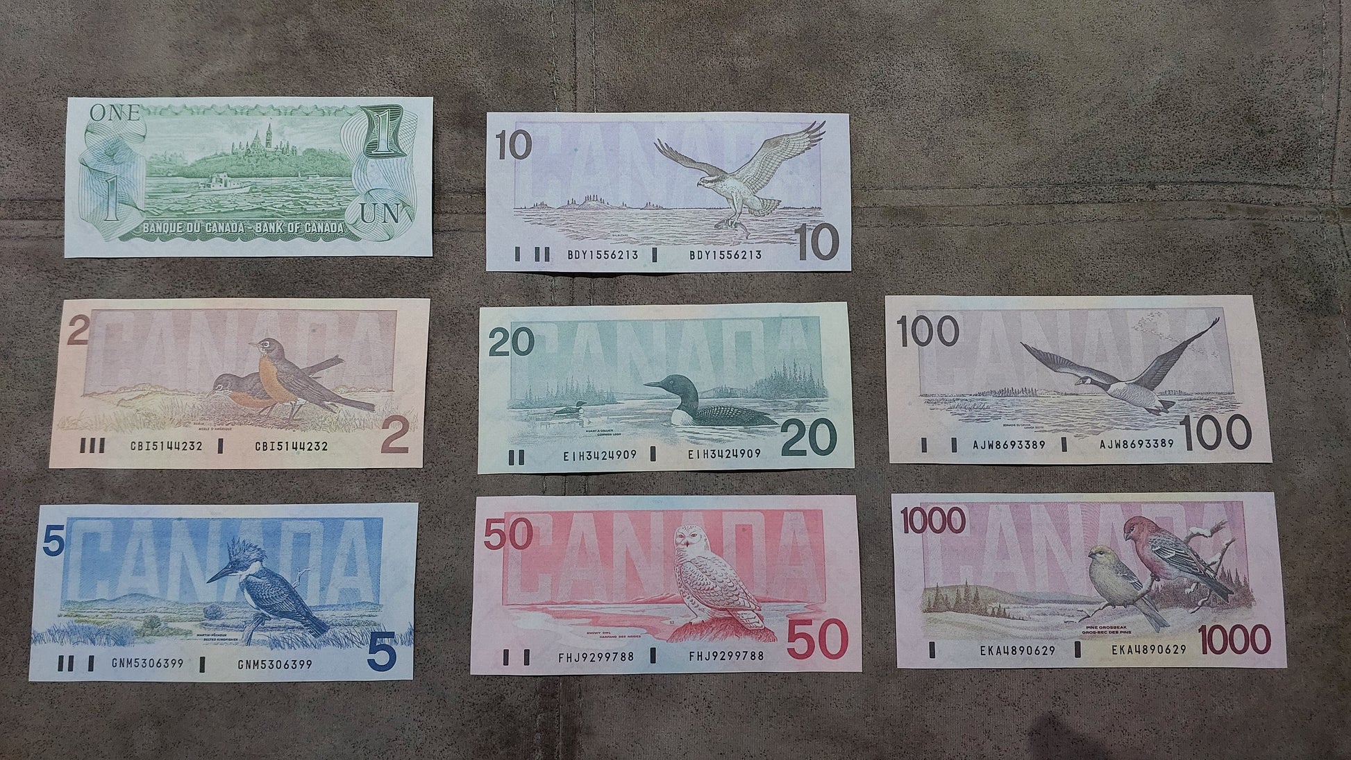 Historic 1974-1991 Bank of Canada Banknotes Collection Reverse Side Series