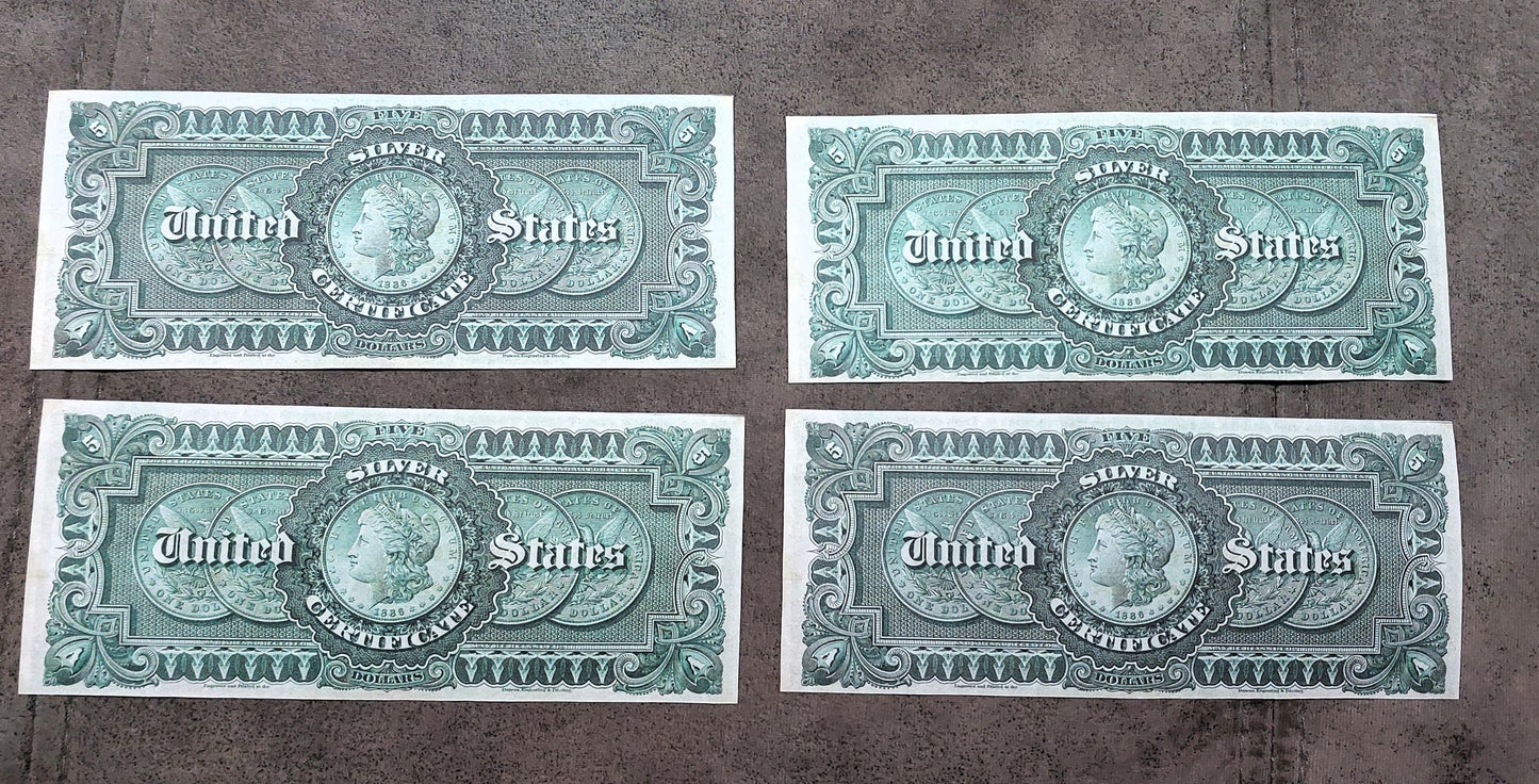 5 Dollar 1886 US Silver Certificate Reverse Side