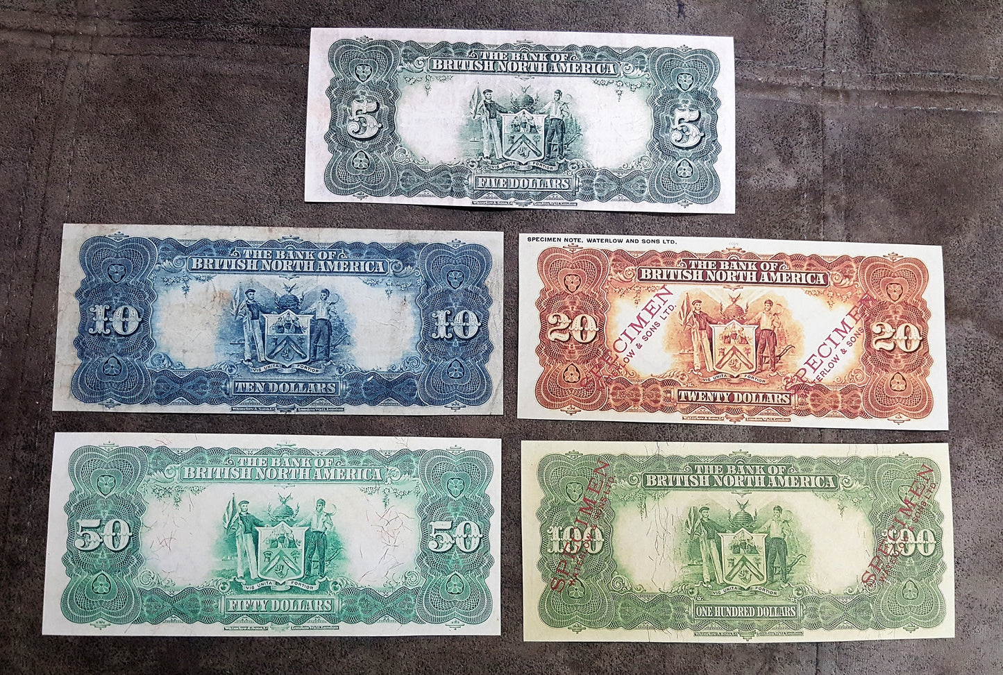 Bank of British North America High Denomination 10 to 100 Dollar 1911 Specimen Notes Reverse
