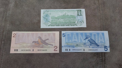 Bank of Canada 1, 2 and 5 Dollar Numismatic Notes Back Side 1974-1991