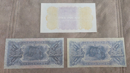 Commonwealth of Australia 1 Pound 1914 and 1918 WWI Banknotes Reverse Side