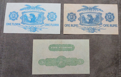 Group of 3 banknotes (trio) featuring front/obverse views of the 1 Rupee, 1 Florin, and 5 Florins notes back