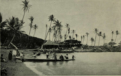 Reprint on paper with W/M United States HAWAII 1879-1895 y.  FREE SHIPPING!