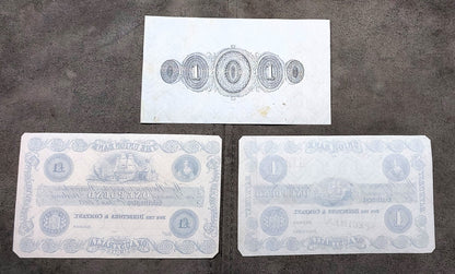 The Union Bank of Australasia 1 Pound Bathurst & Sydney banknote reverse side