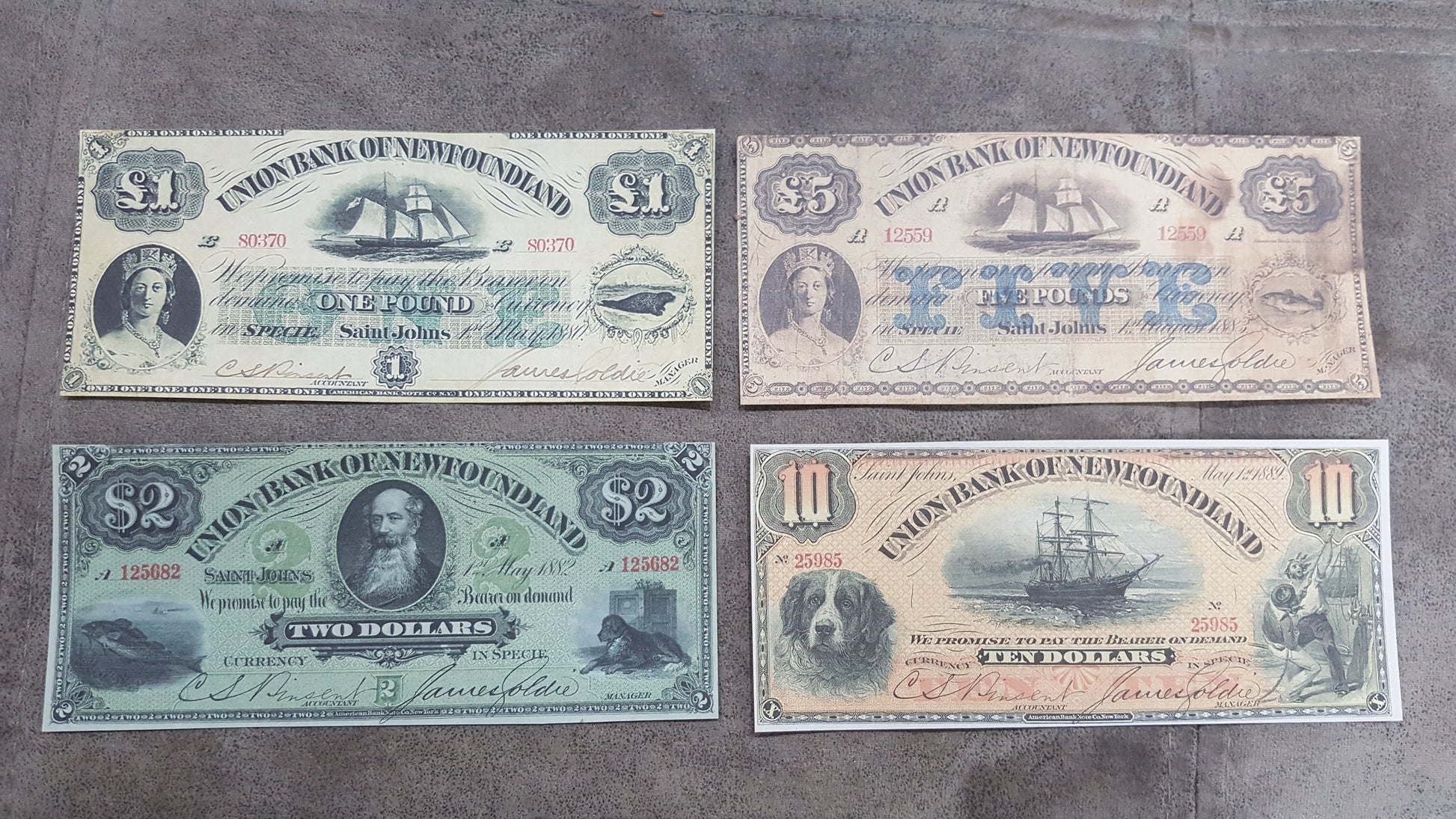 Union Bank of Newfoundland Early Pound & Dollar Historic Specimen Notes 1838 1921